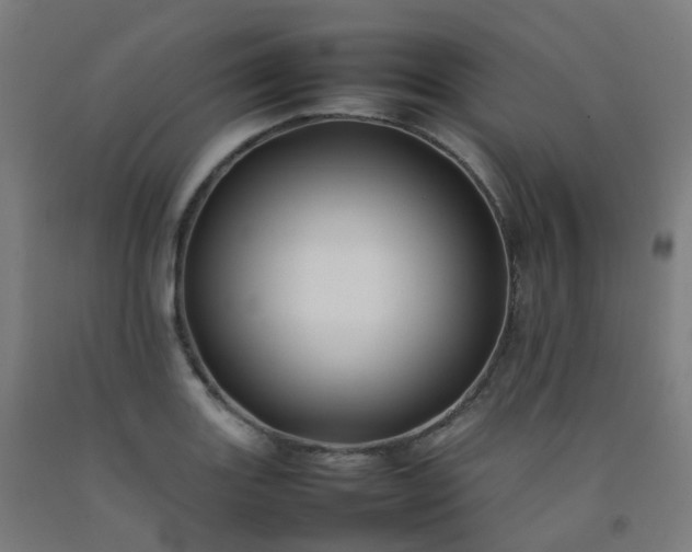 X0000092271131200709281218