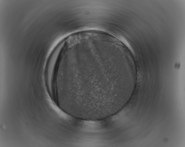 X0000092271132200709281218