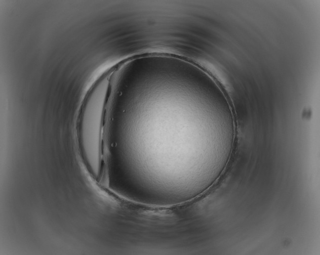 X0000092271133200709281218