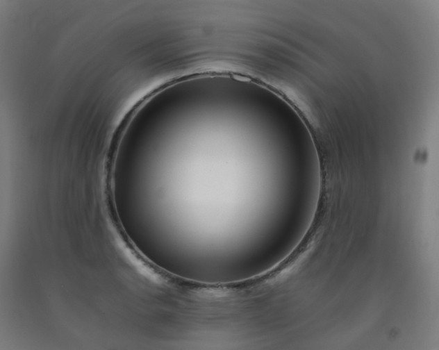 X0000092271134200709281218