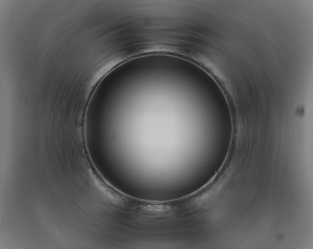 X0000092271137200709281218