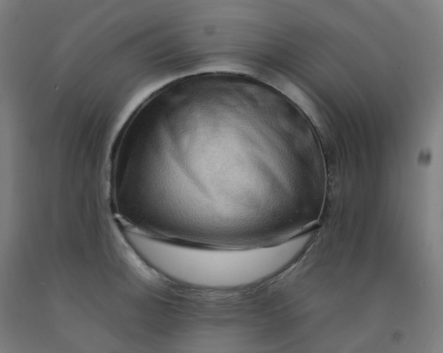 X0000092271140200709281219
