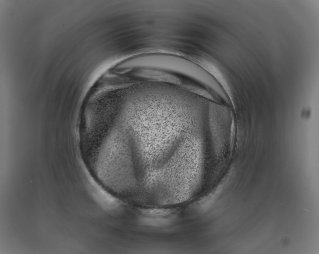 X0000092271141200709281219
