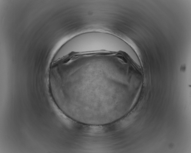 X0000092271144200709281219