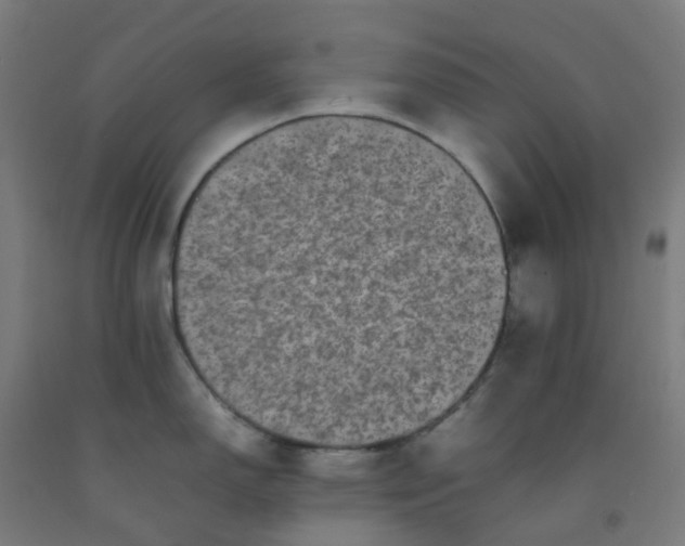 X0000092271150200709281219