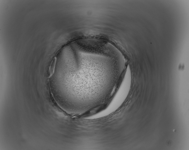 X0000092271153200709281218