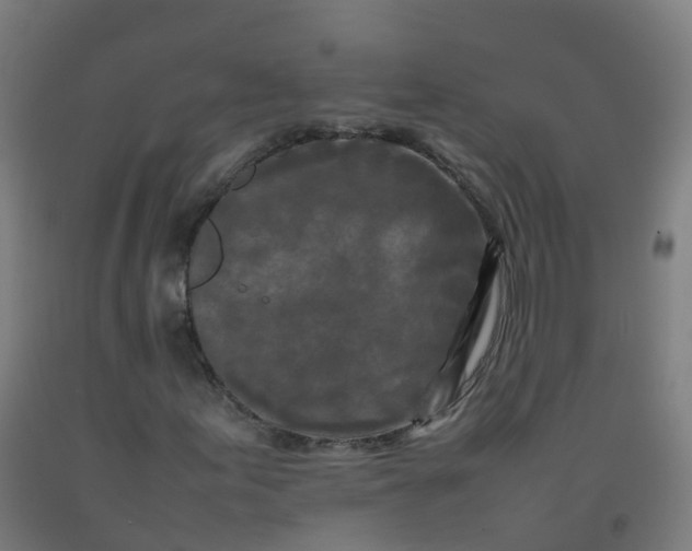 X0000092271155200709281218