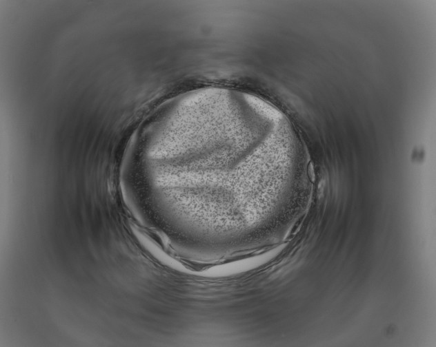 X0000092271156200709281218