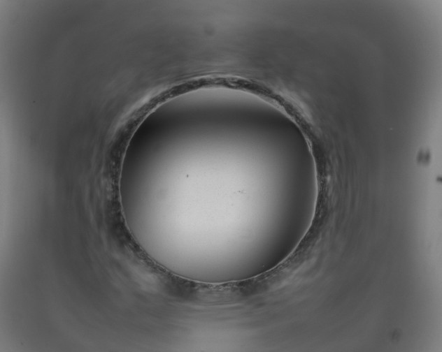 X0000092271159200709281218