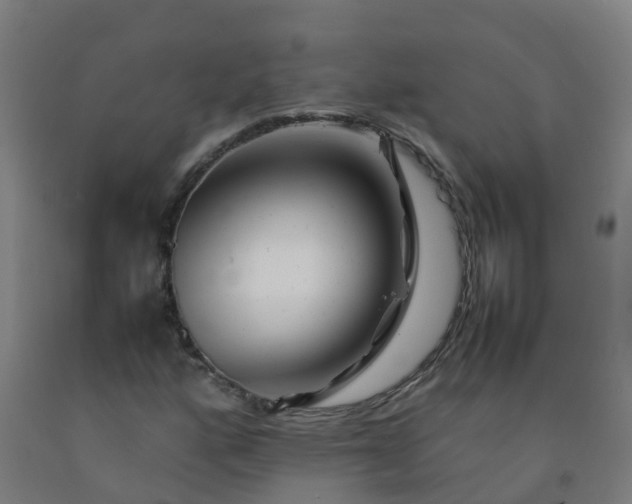 X0000092271160200709281218