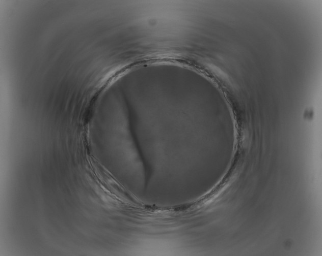 X0000092271161200709281218