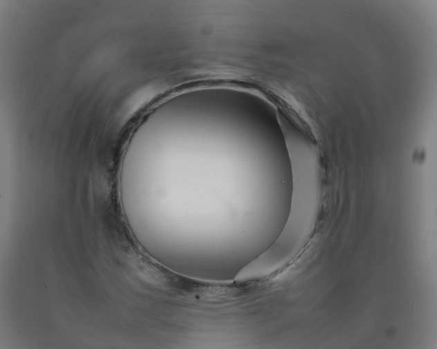 X0000092271163200709281218