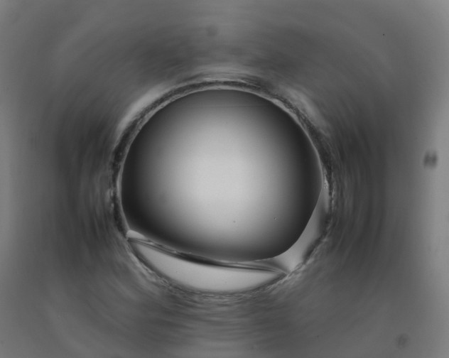 X0000092271164200709281218