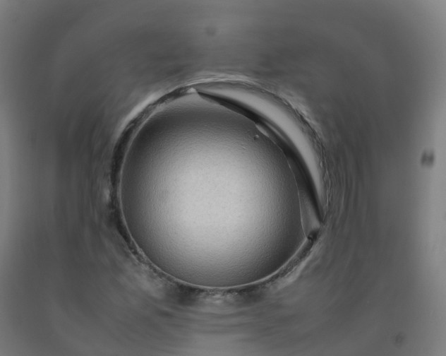 X0000092271165200709281218