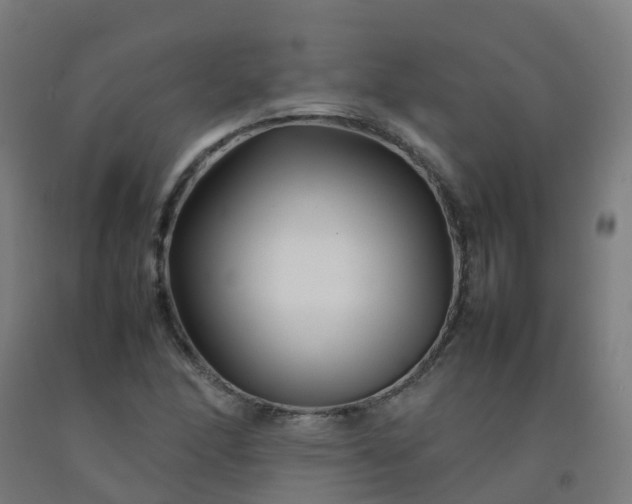 X0000092271166200709281218