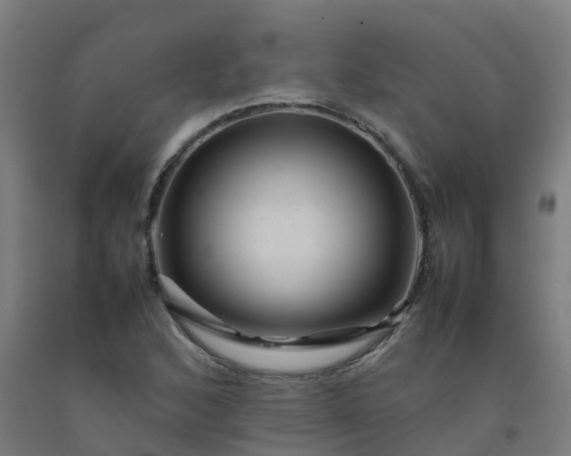 X0000092271168200709281218