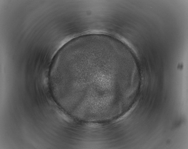 X0000092271170200709281218