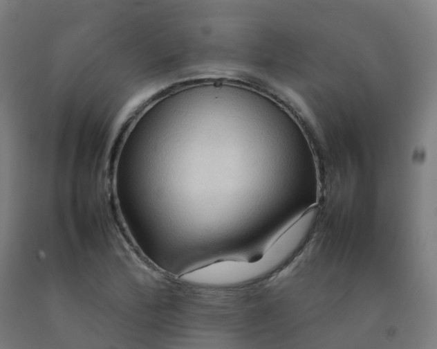 X0000092271172200709281218