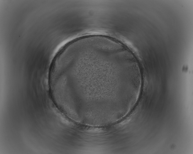 X0000092271174200709281218