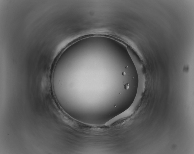 X0000092271176200709281218