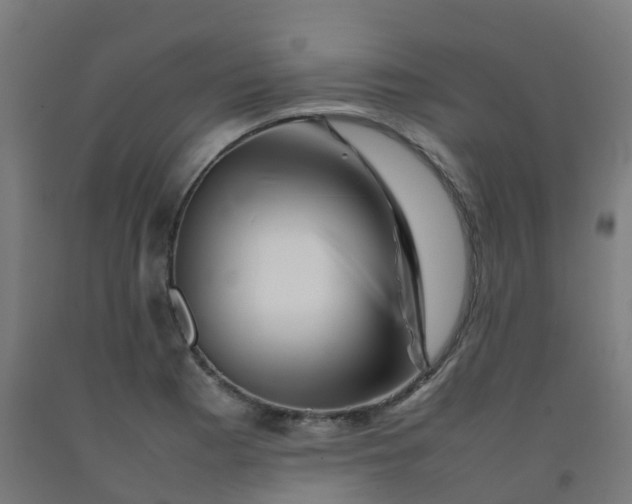 X0000092271177200709281218