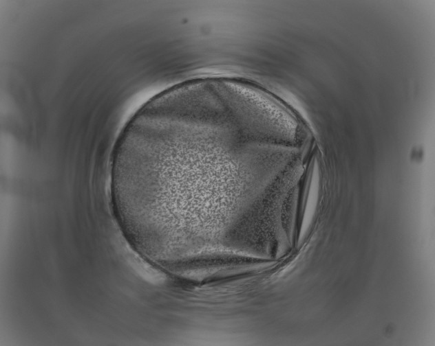 X0000092271179200709281218