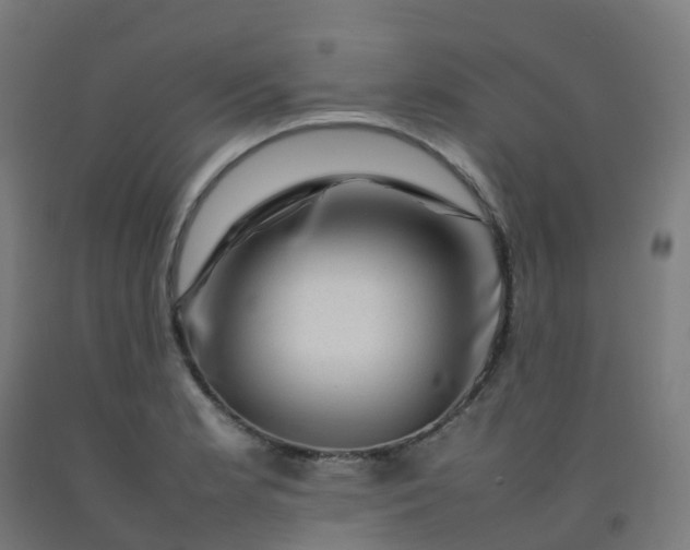 X0000092271181200709281218