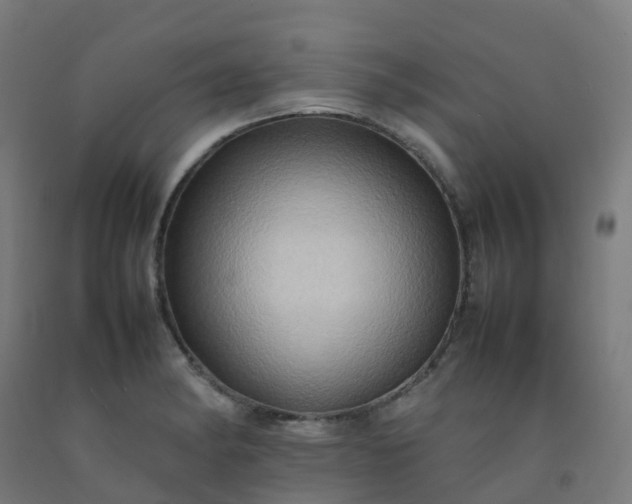 X0000092271182200709281218