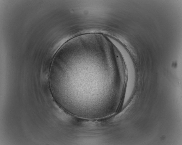 X0000092271185200709281218