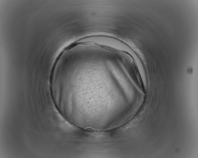 X0000092271189200709281218