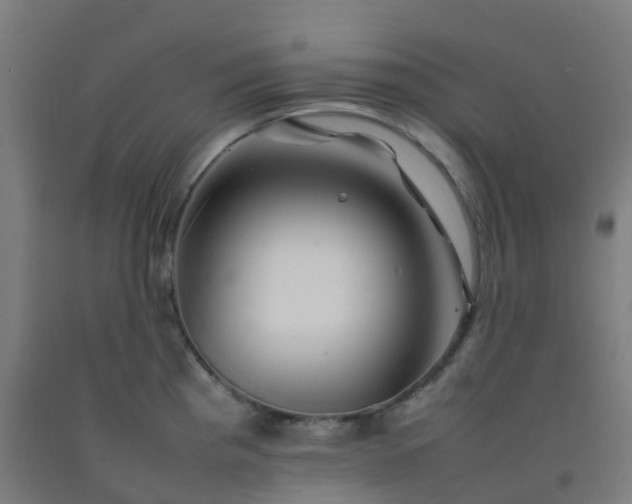 X0000092271193200709281218