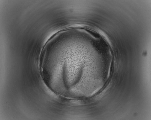 X0000092271194200709281218