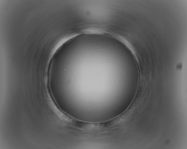 X0000092271195200709281218