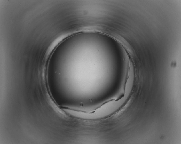 X0000092271196200709281218