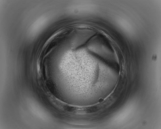 X0000092271198200709281217