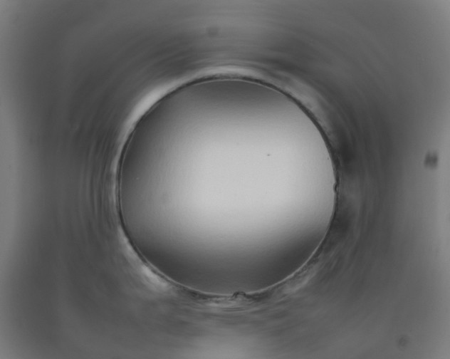 X0000092271199200709281217