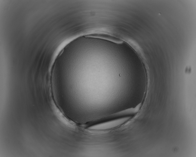 X0000092271200200709281217
