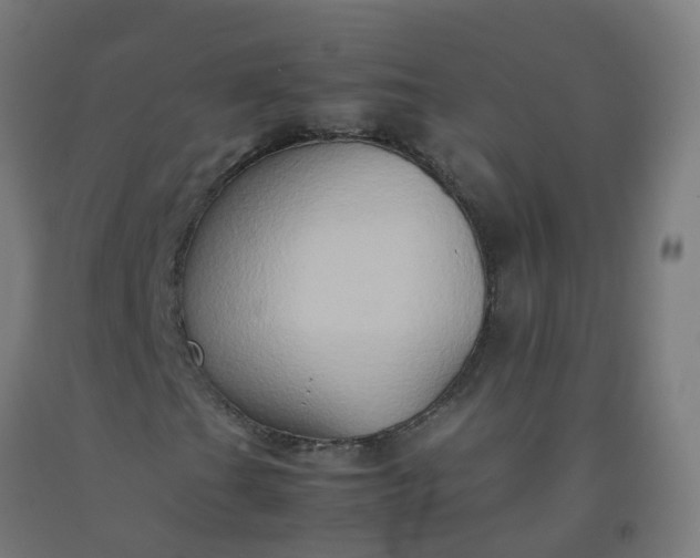 X0000092271201200709281217
