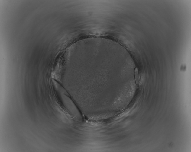 X0000092271202200709281217