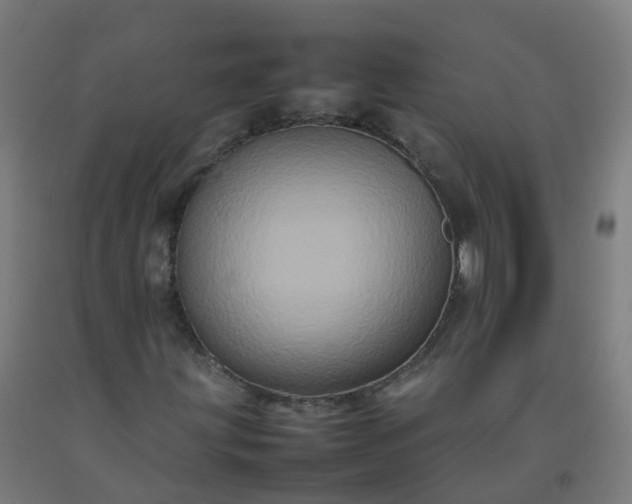 X0000092271203200709281217