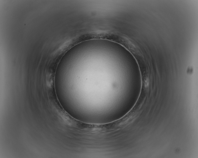 X0000092271204200709281217