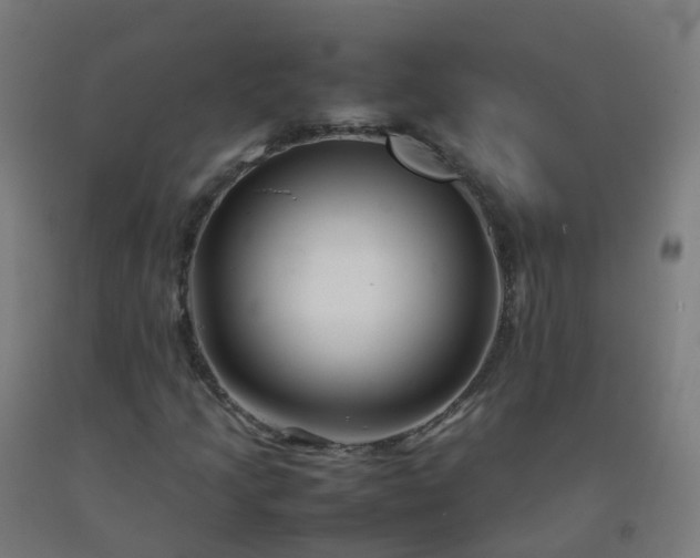 X0000092271205200709281217