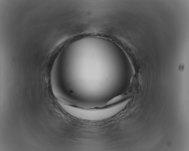 X0000092271206200709281217