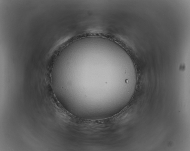 X0000092271207200709281217