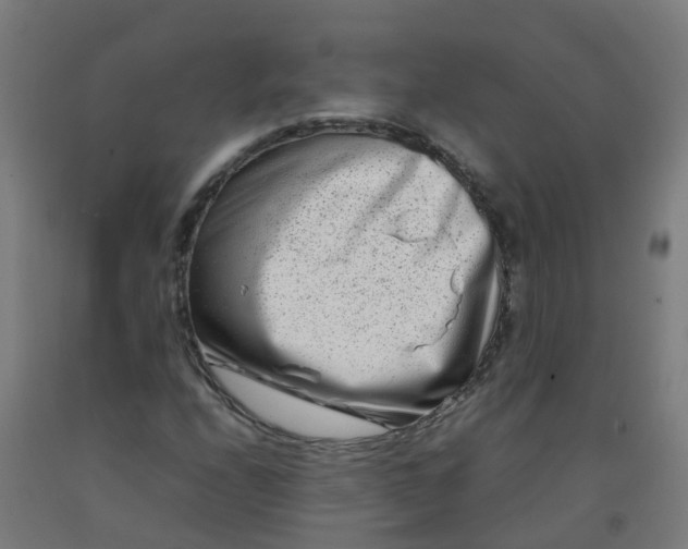 X0000092271208200709281217