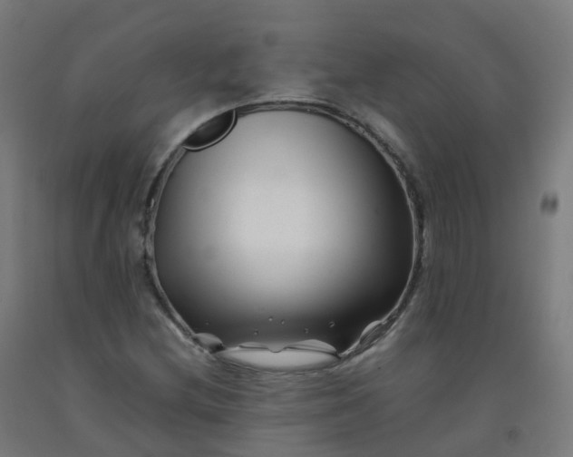 X0000092271212200709281217