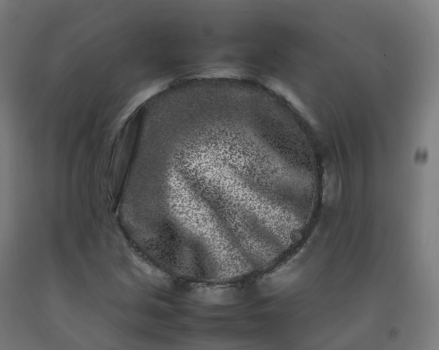 X0000092271213200709281217