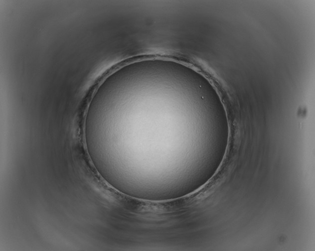 X0000092271215200709281217