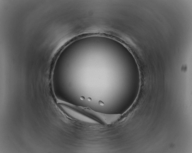 X0000092271216200709281217