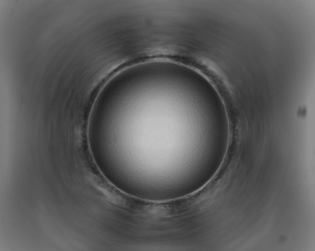 X0000092271217200709281217